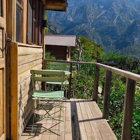 Hotel Olive Garden Kabak Faralya Zewnętrze zdjęcie