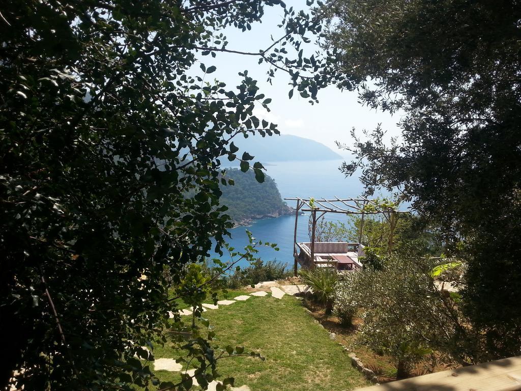 Hotel Olive Garden Kabak Faralya Zewnętrze zdjęcie