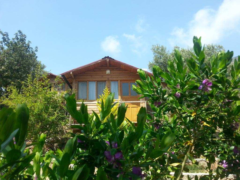 Hotel Olive Garden Kabak Faralya Zewnętrze zdjęcie