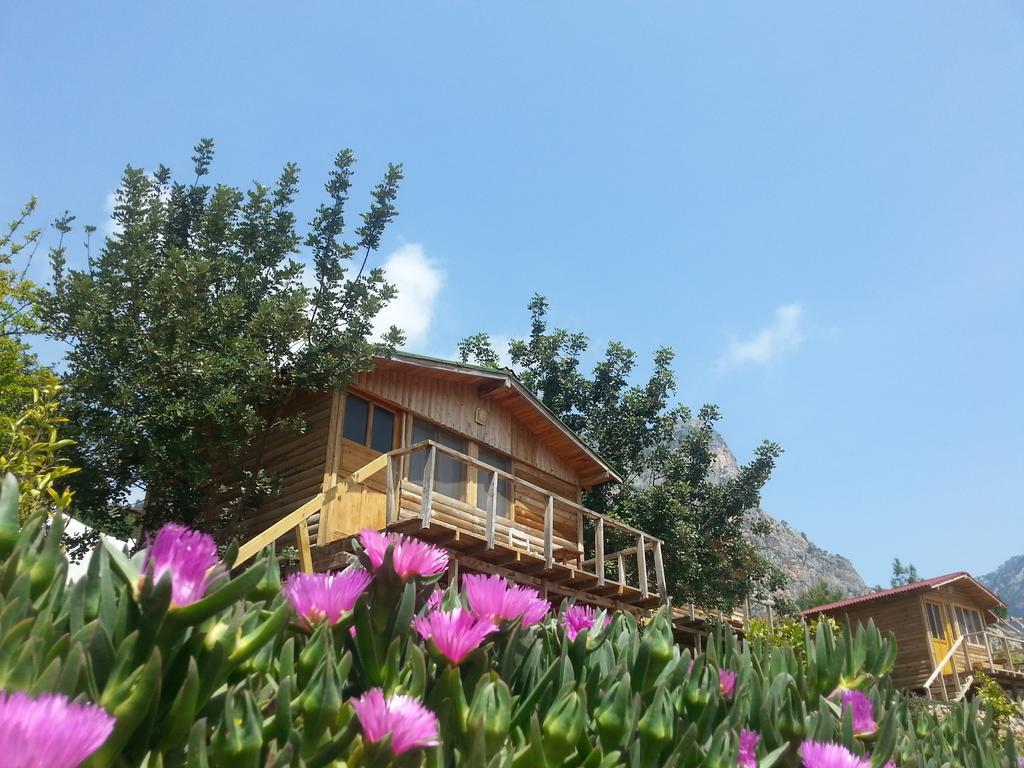 Hotel Olive Garden Kabak Faralya Zewnętrze zdjęcie