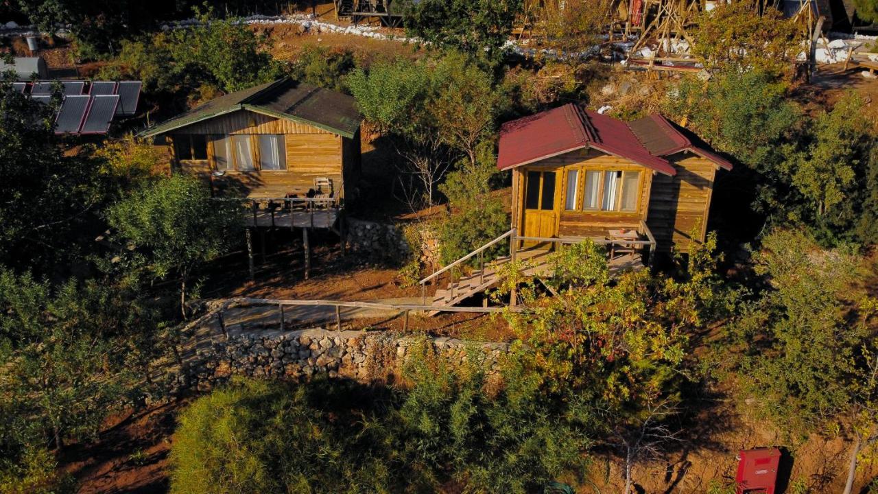 Hotel Olive Garden Kabak Faralya Zewnętrze zdjęcie