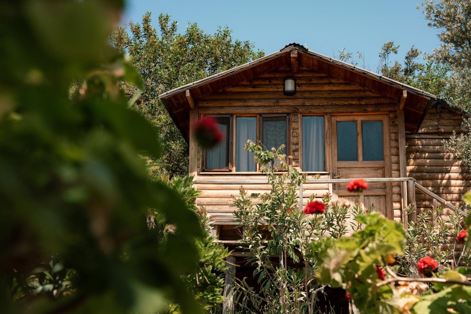 Hotel Olive Garden Kabak Faralya Zewnętrze zdjęcie