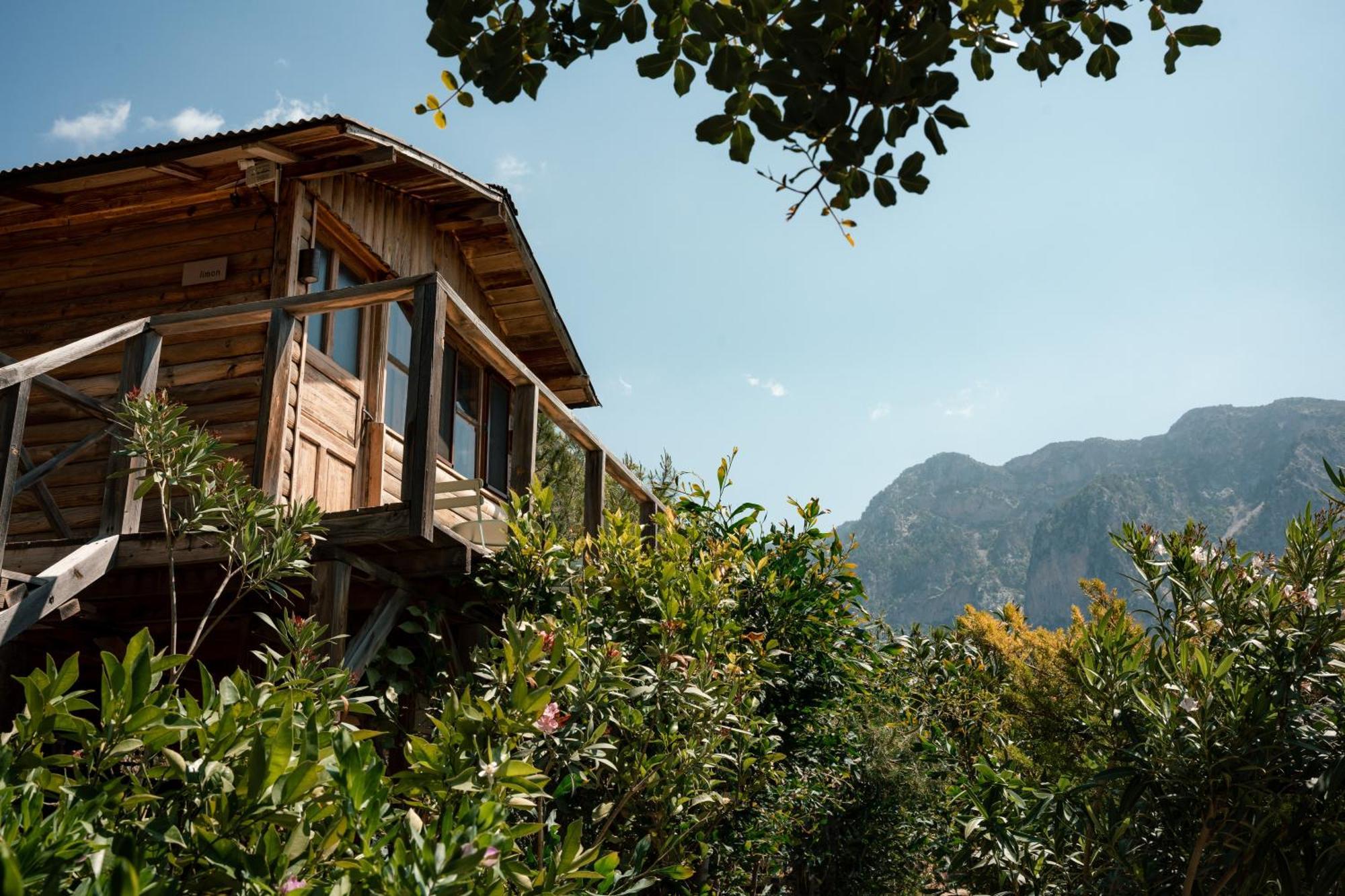 Hotel Olive Garden Kabak Faralya Zewnętrze zdjęcie