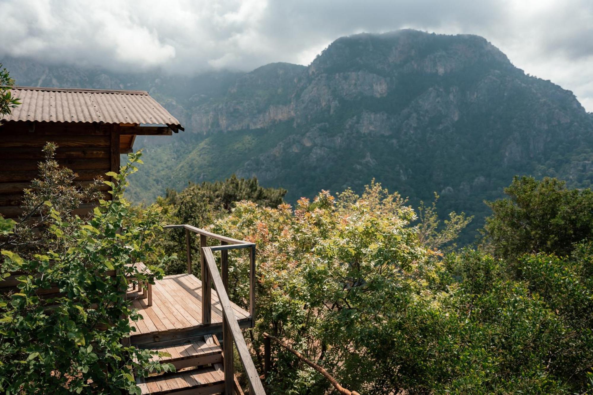 Hotel Olive Garden Kabak Faralya Zewnętrze zdjęcie