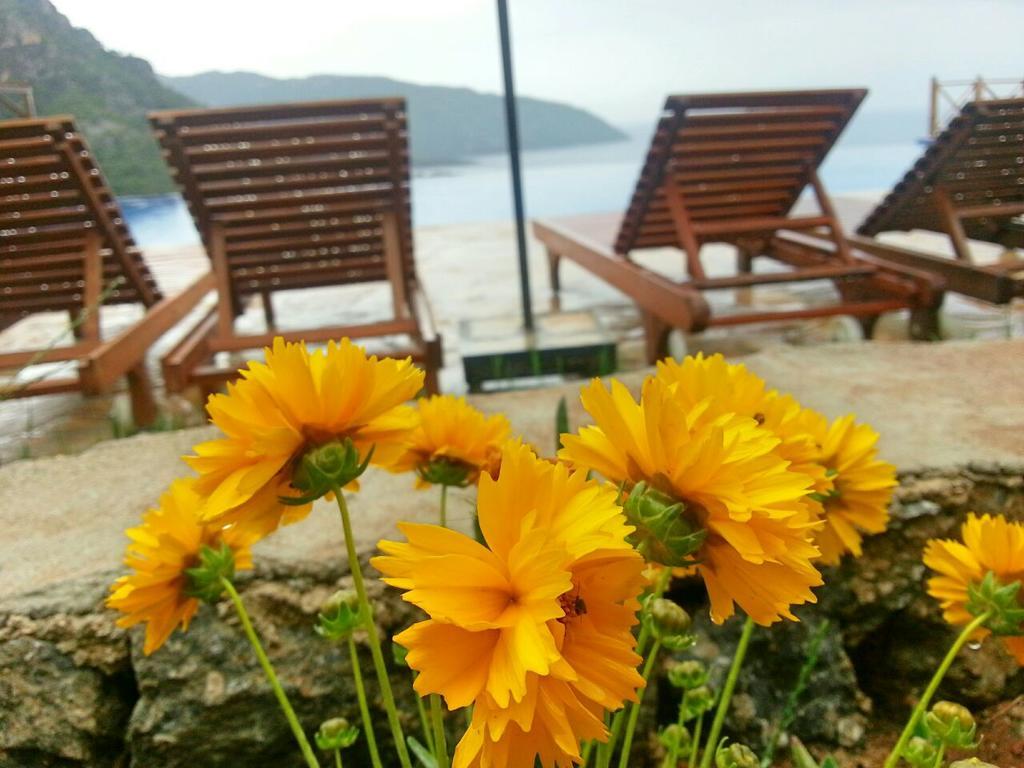 Hotel Olive Garden Kabak Faralya Zewnętrze zdjęcie