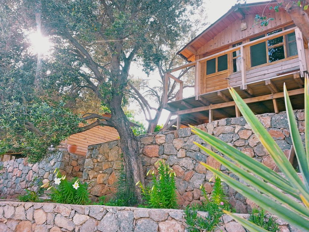 Hotel Olive Garden Kabak Faralya Zewnętrze zdjęcie