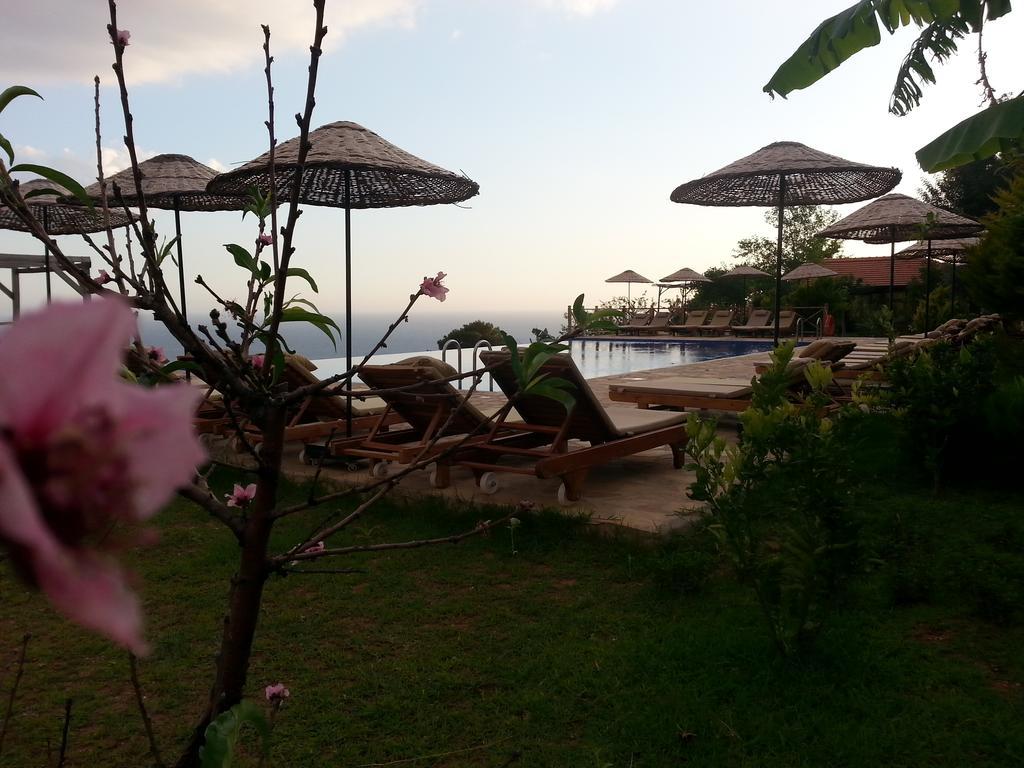 Hotel Olive Garden Kabak Faralya Zewnętrze zdjęcie