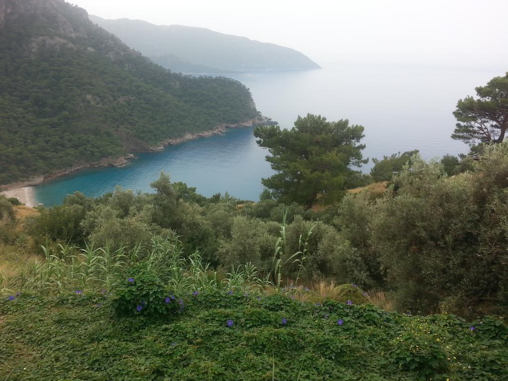 Hotel Olive Garden Kabak Faralya Zewnętrze zdjęcie