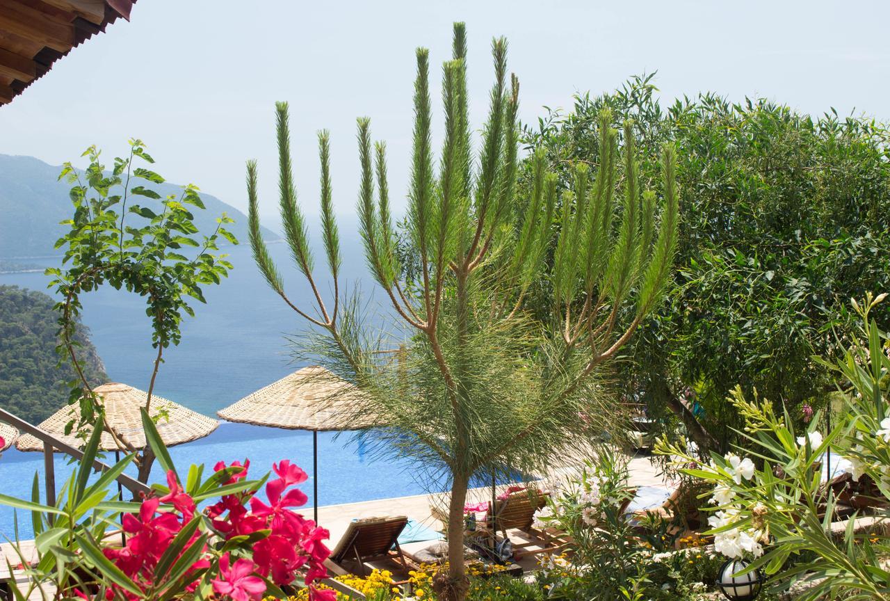 Hotel Olive Garden Kabak Faralya Zewnętrze zdjęcie