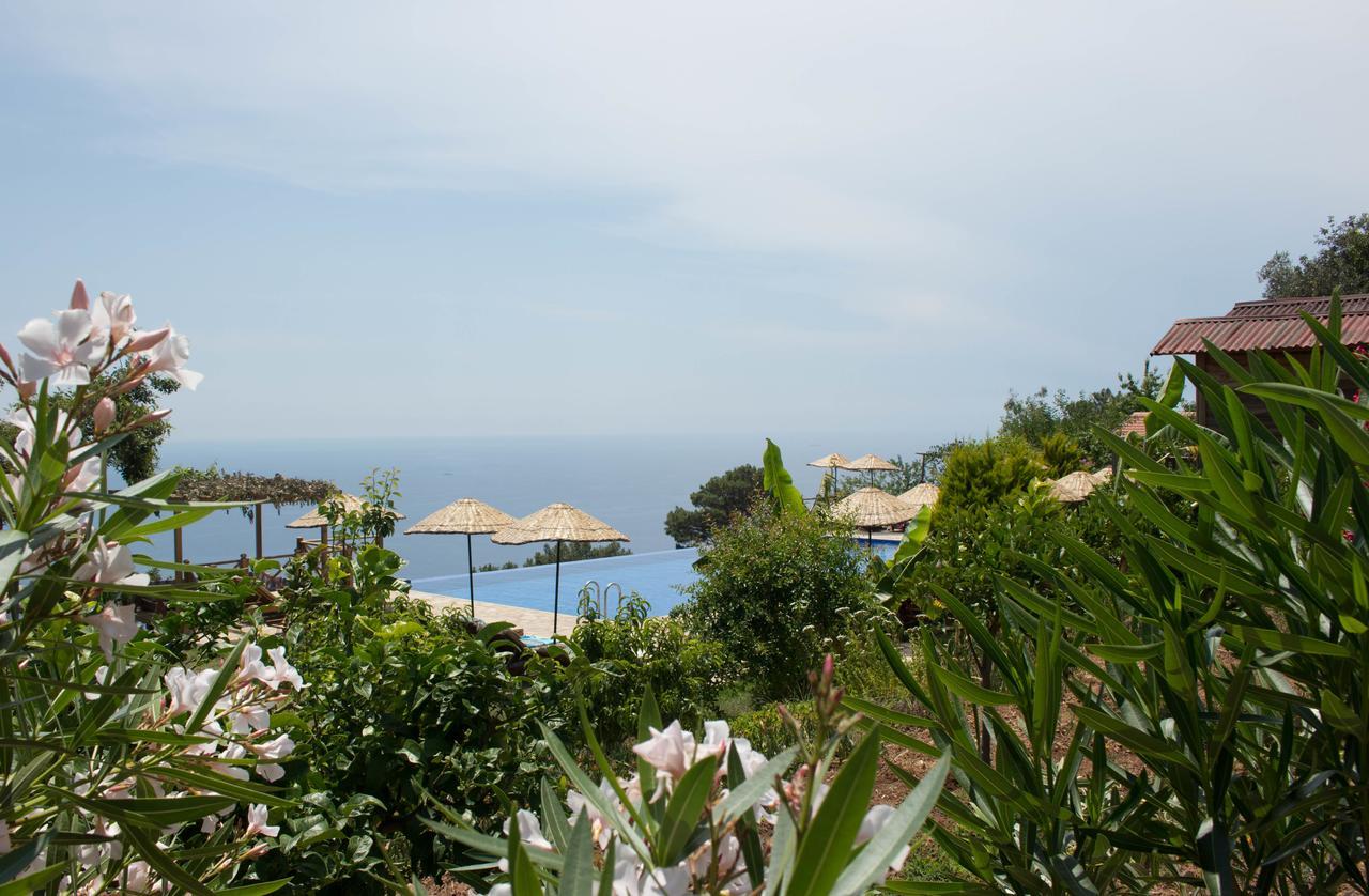 Hotel Olive Garden Kabak Faralya Zewnętrze zdjęcie